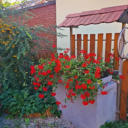 Kriszta Apartman Balatongyörök