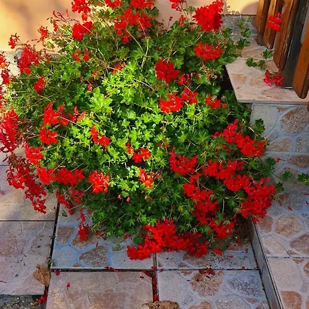 Apartament Kriszta