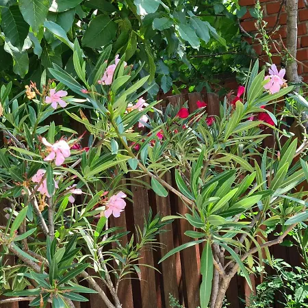 דירה Kriszta Balatongyörök