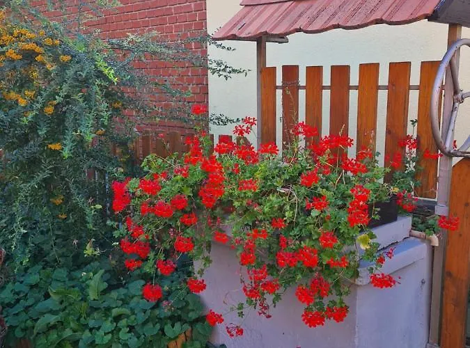 Kriszta Διαμέρισμα Balatongyörök