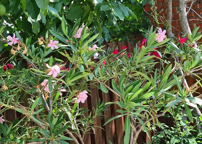 דירה Kriszta Balatongyörök